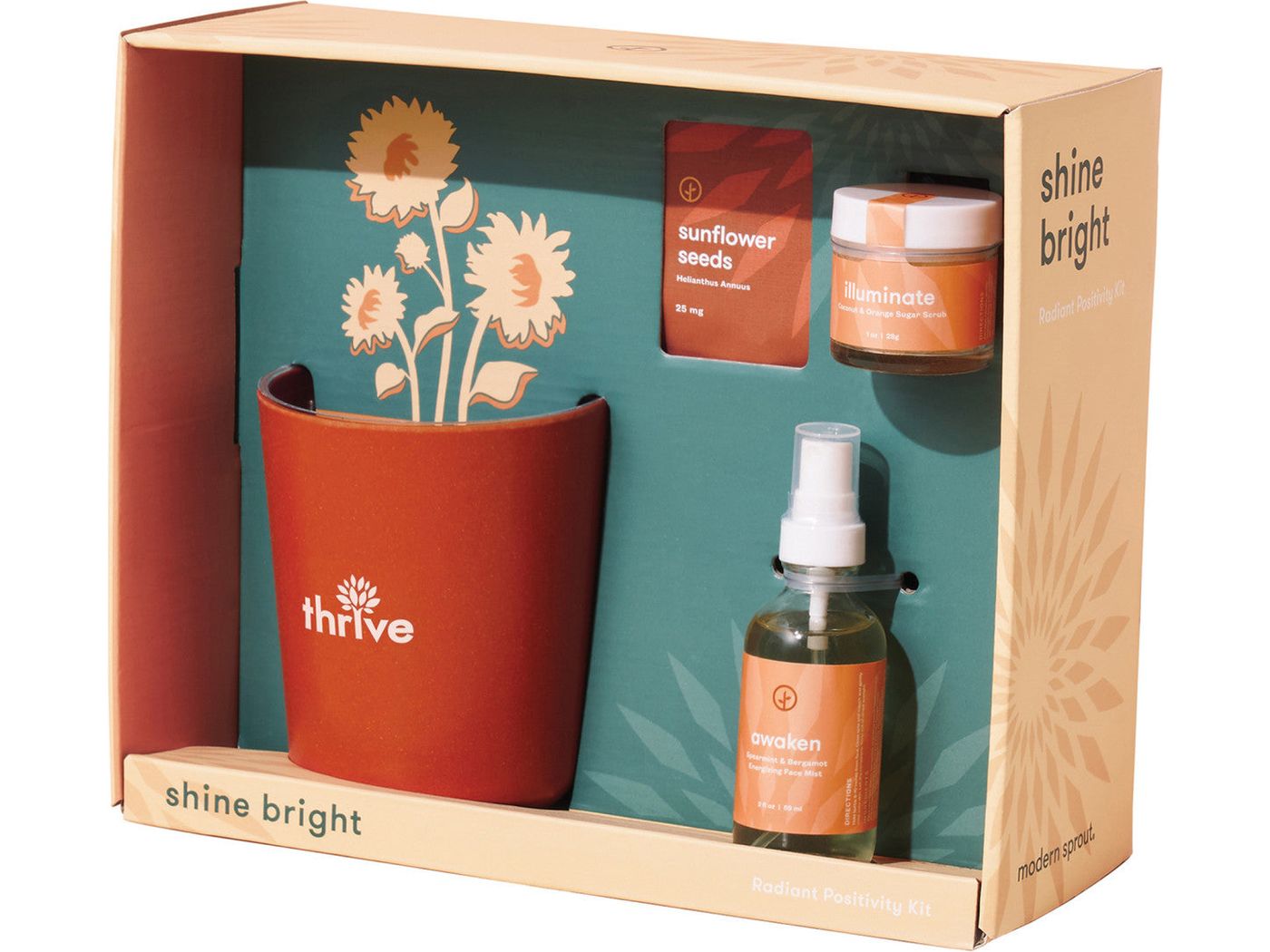 Modern Sprout® Shine Bright Take Care Kit - Sunflower