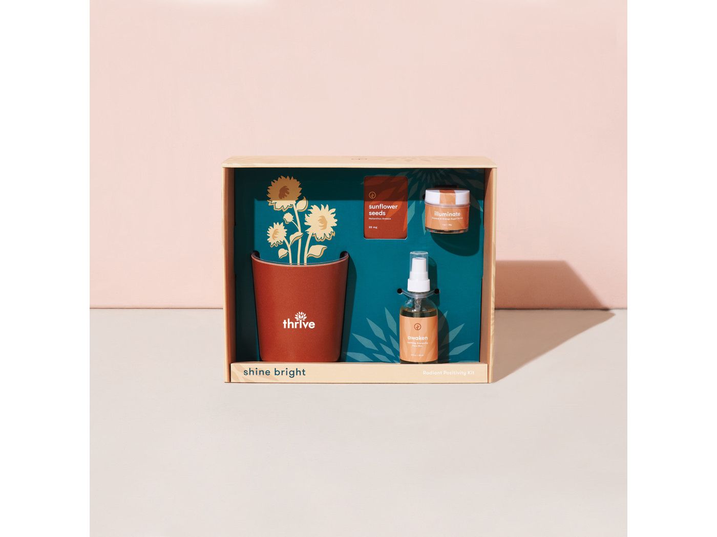 Modern Sprout® Shine Bright Take Care Kit - Sunflower