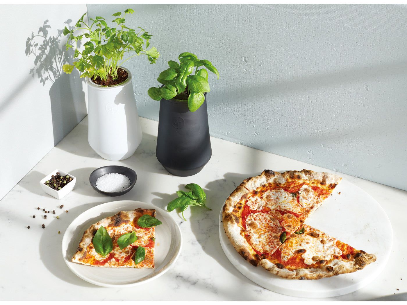 Modern Sprout Tapered Tumbler Grow Kit