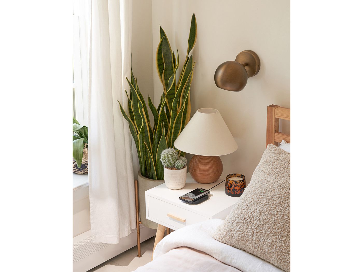 Courant Essentials Catch: 1