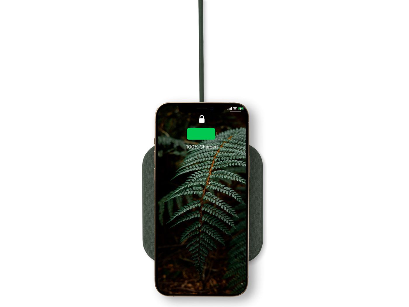 Courant Essentials Catch: 1