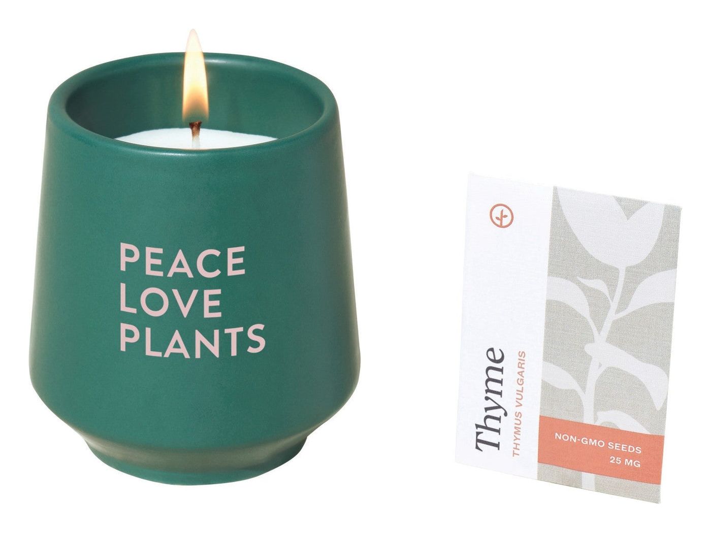 Modern Sprout® Rooted Candle