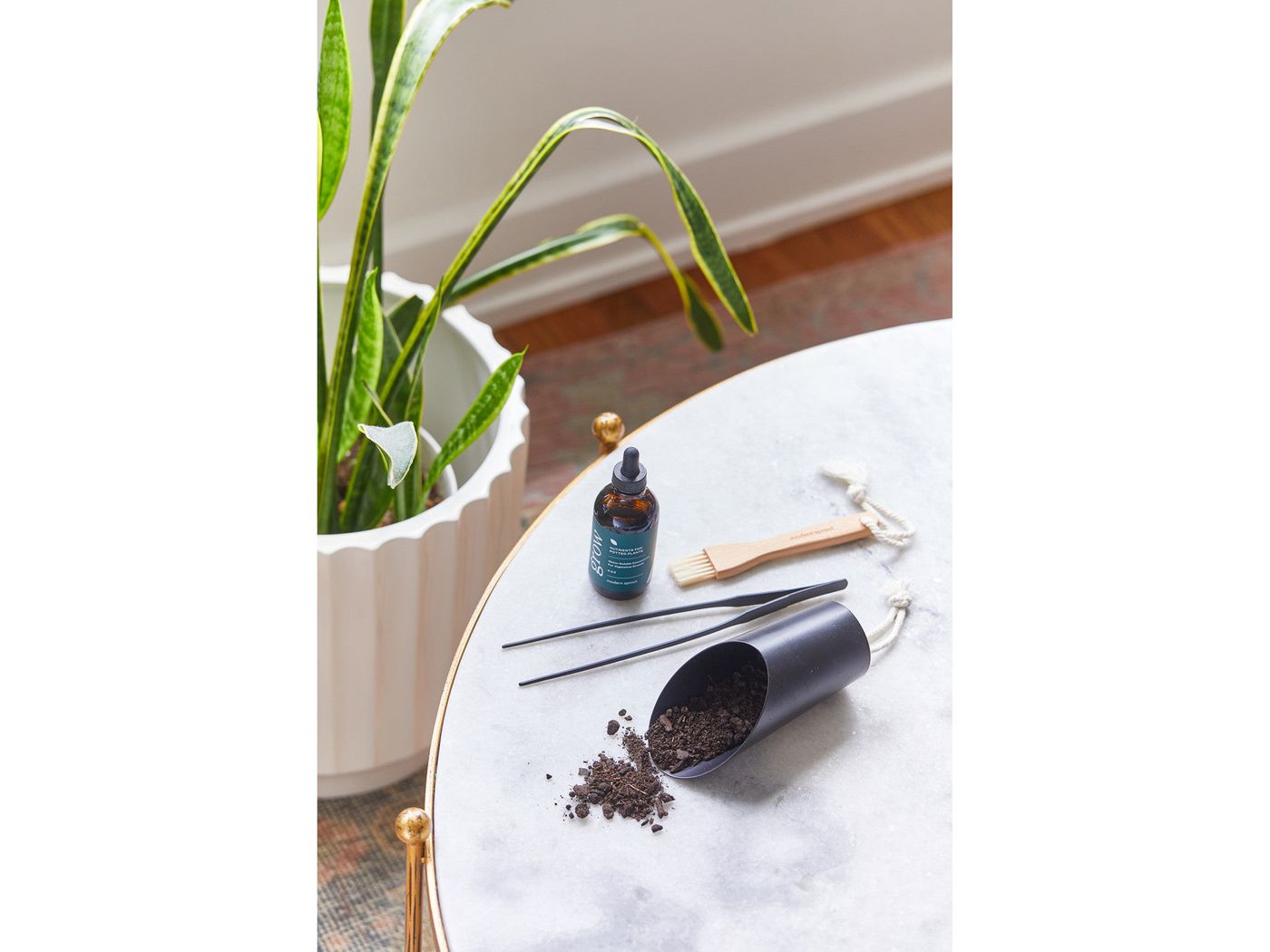 Modern Sprout® Plant Parent Care Kit