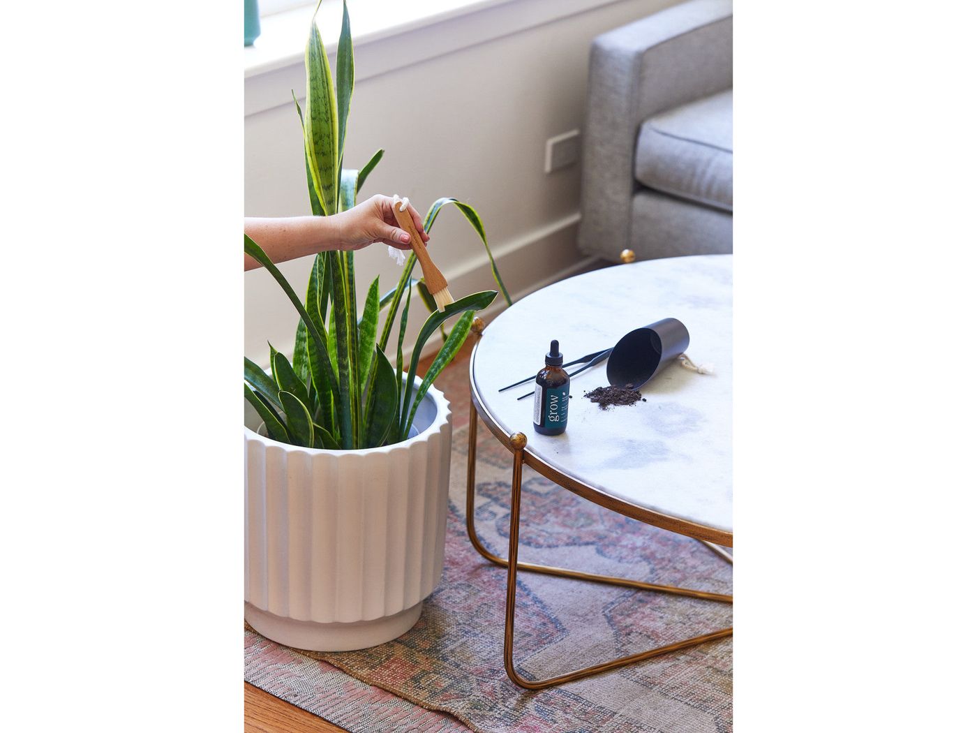 Modern Sprout® Plant Parent Care Kit