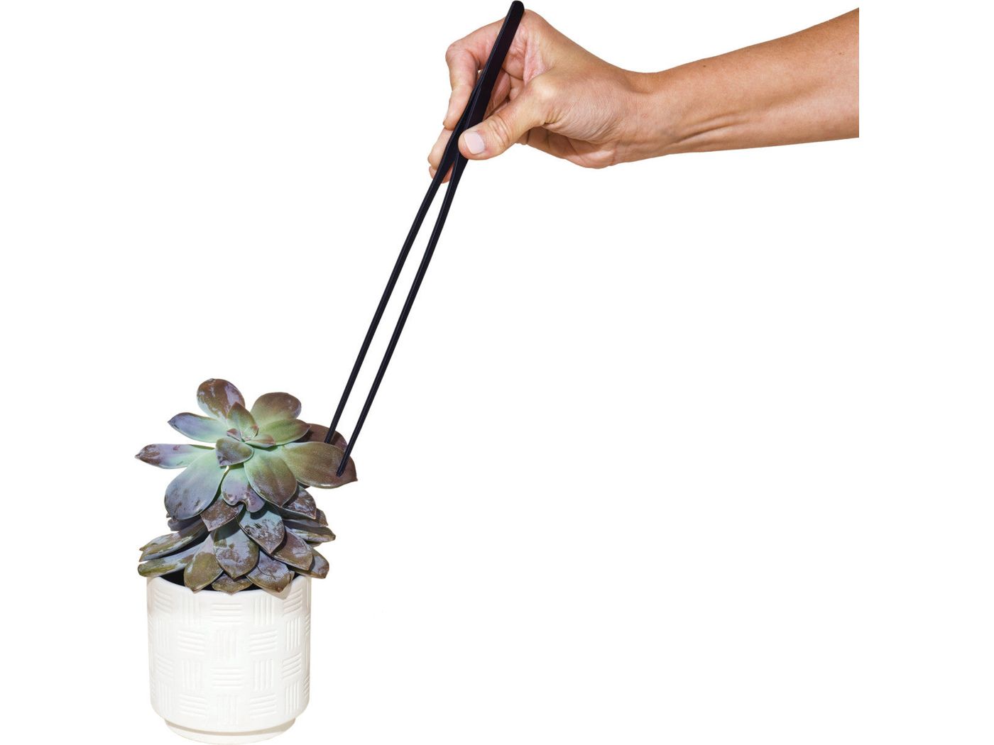 Modern Sprout® Plant Parent Care Kit