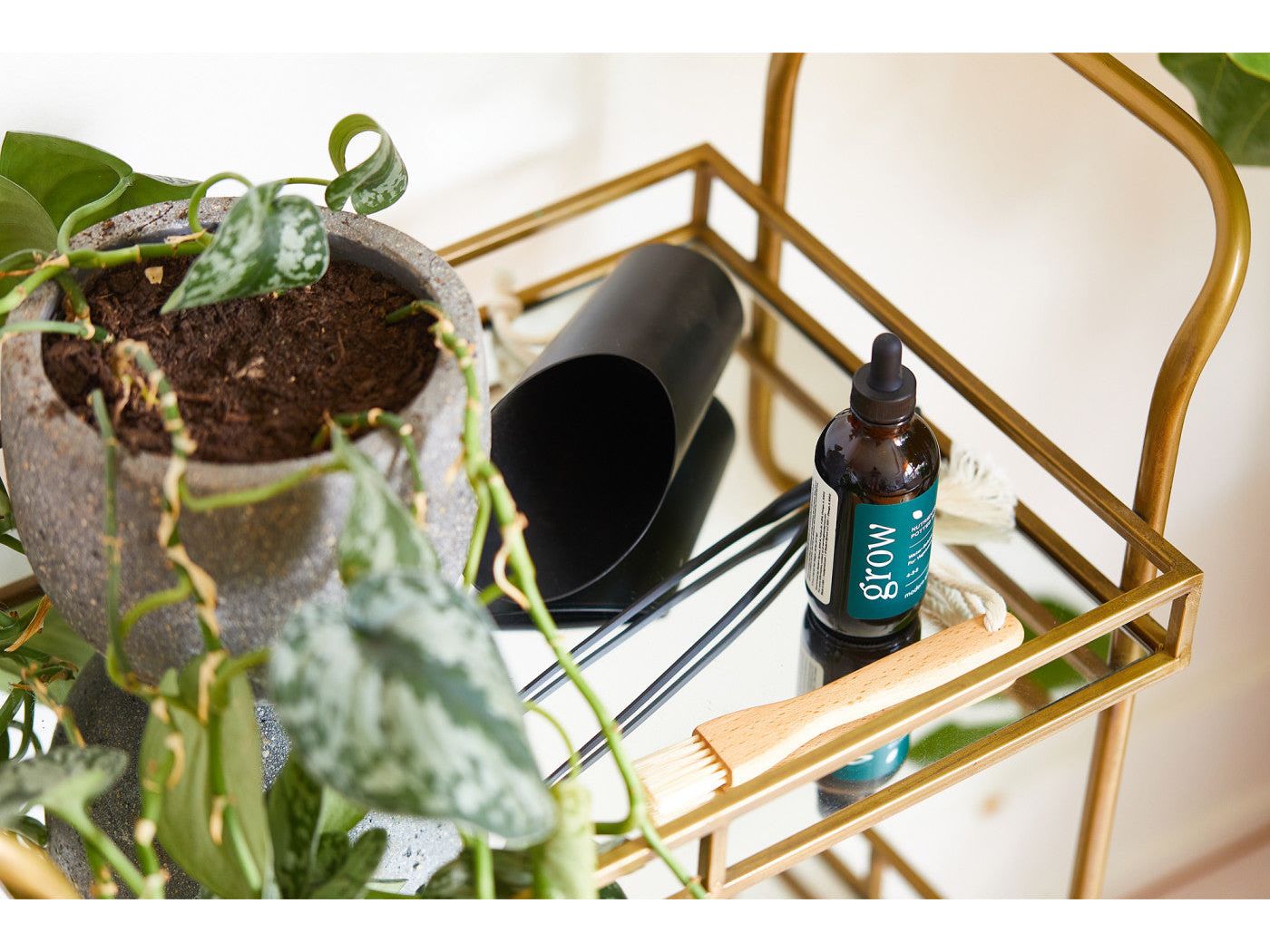 Modern Sprout® Plant Parent Care Kit