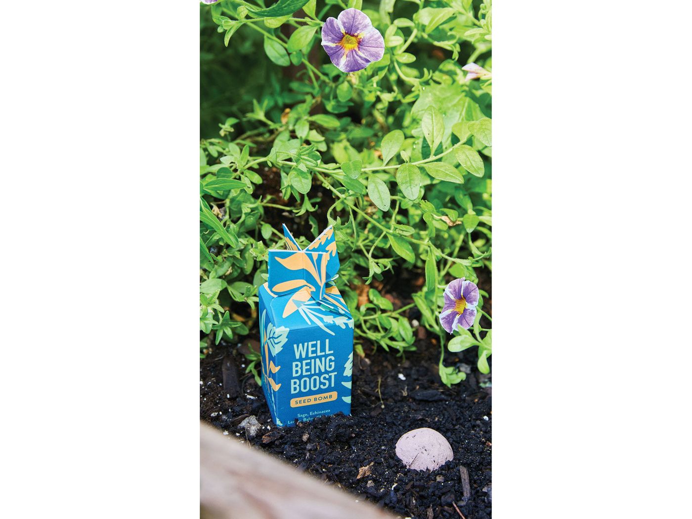 Modern Sprout® Encouragement Seed Bomb