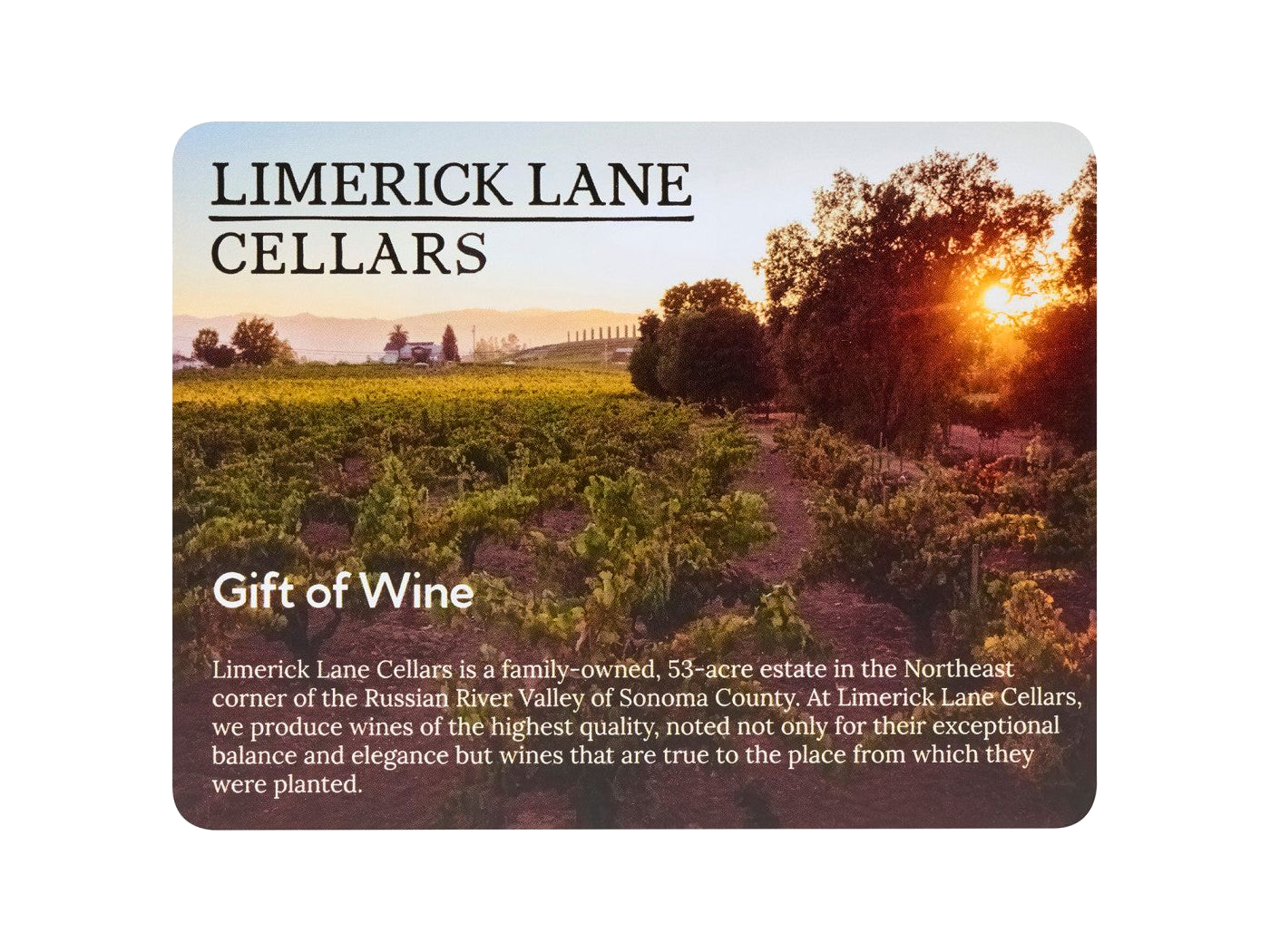Limerick Lane Cellars Wine Enthusiast Tote & Gourmet Gift Set