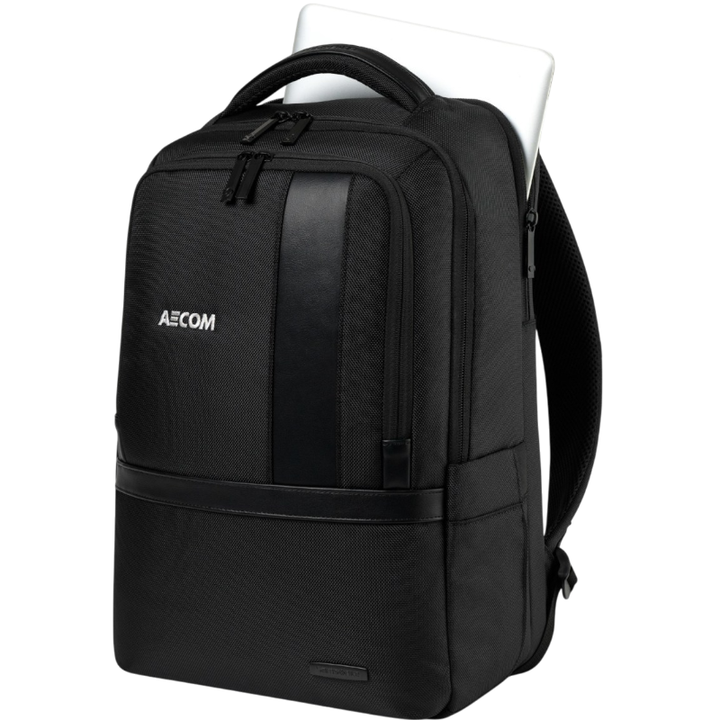 Samsonite Triville Laptop Backpack