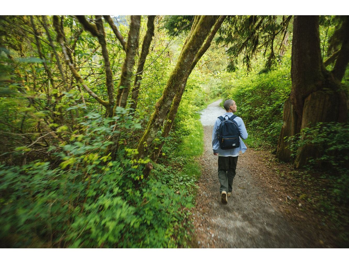 Herschel Settlement 15" Computer Backpack