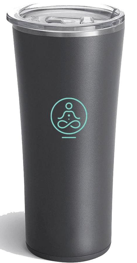 22 Oz. Swig Life™ Gray Stainless Steel Tumbler - Tumblers - SwagWear