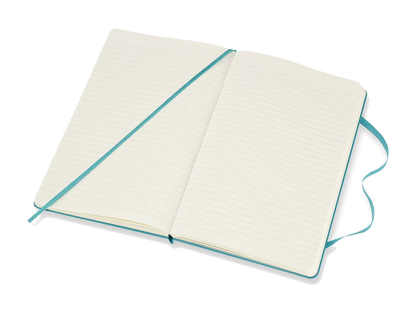 Moleskine® Hard Cover Ruled Large Notebook
