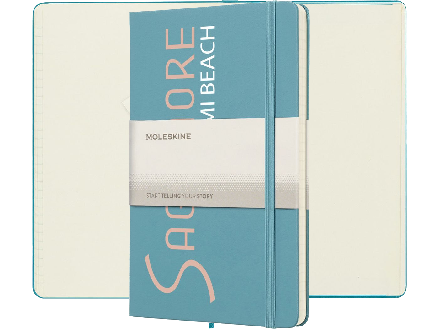 Moleskine® Hard Cover Ruled Large Notebook