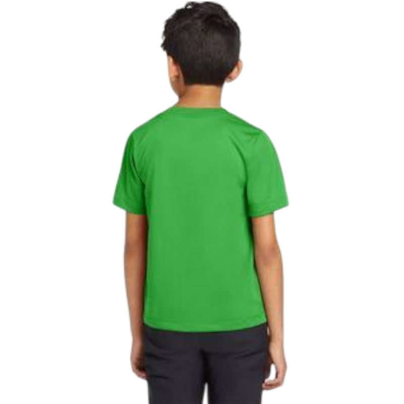 Nike Youth Team rLegend Tee