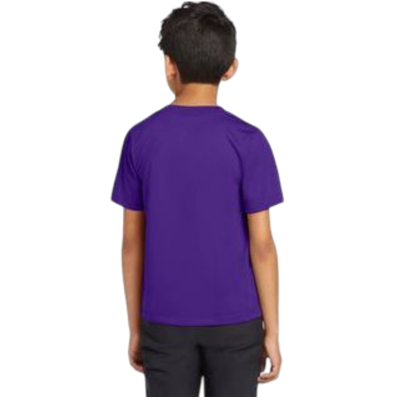 Nike Youth Team rLegend Tee