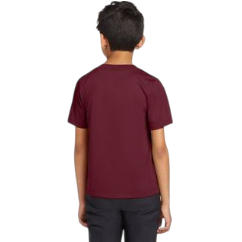 Nike Youth Team rLegend Tee