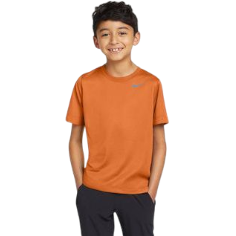 Nike Youth Team rLegend Tee