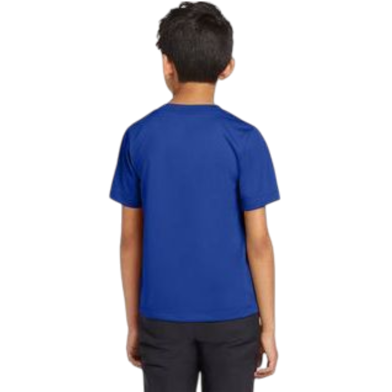 Nike Youth Team rLegend Tee