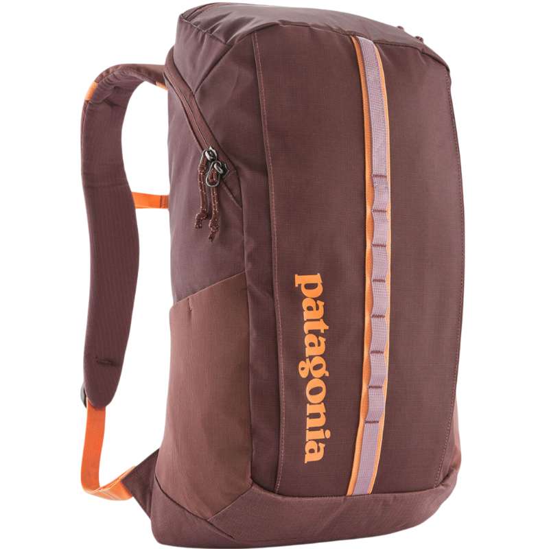 Patagonia Black Hole Pack 25L