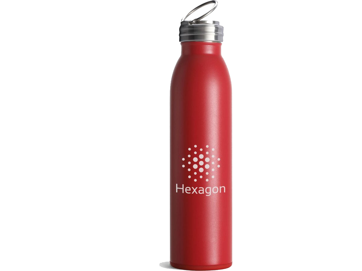 20 Oz. Swig Life™ Stainless Steel Bottle