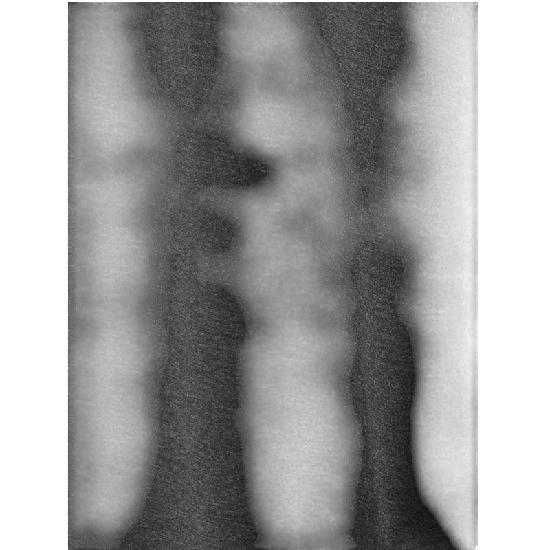 Cozy earth Men's Ultra-Soft Bamboo Hoodie