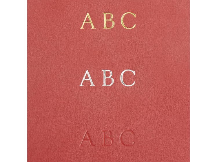 Luggage Tag with Privacy Flap