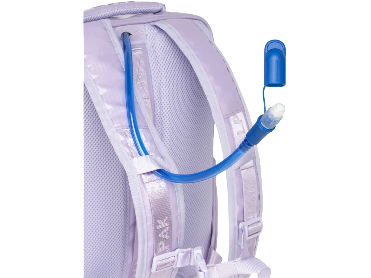 Terra Laptop Backpack