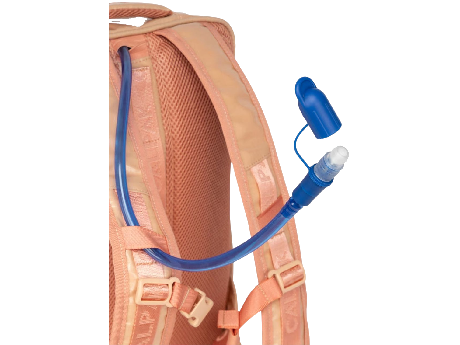 Terra Laptop Backpack