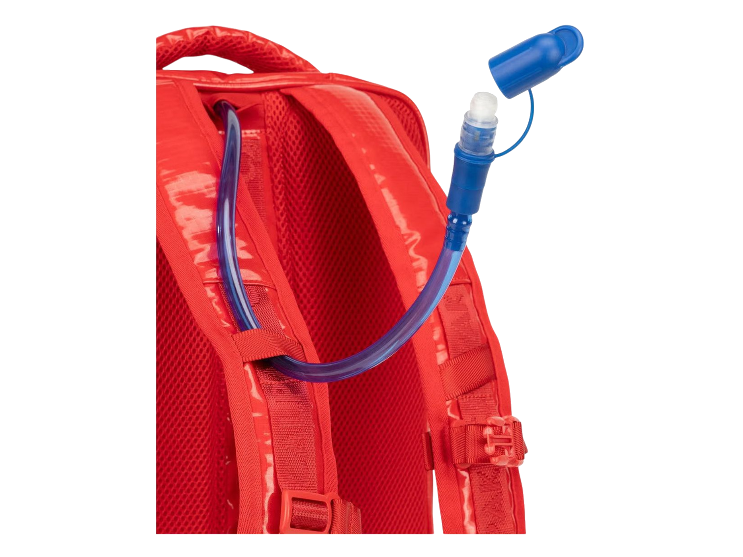 Terra Laptop Backpack