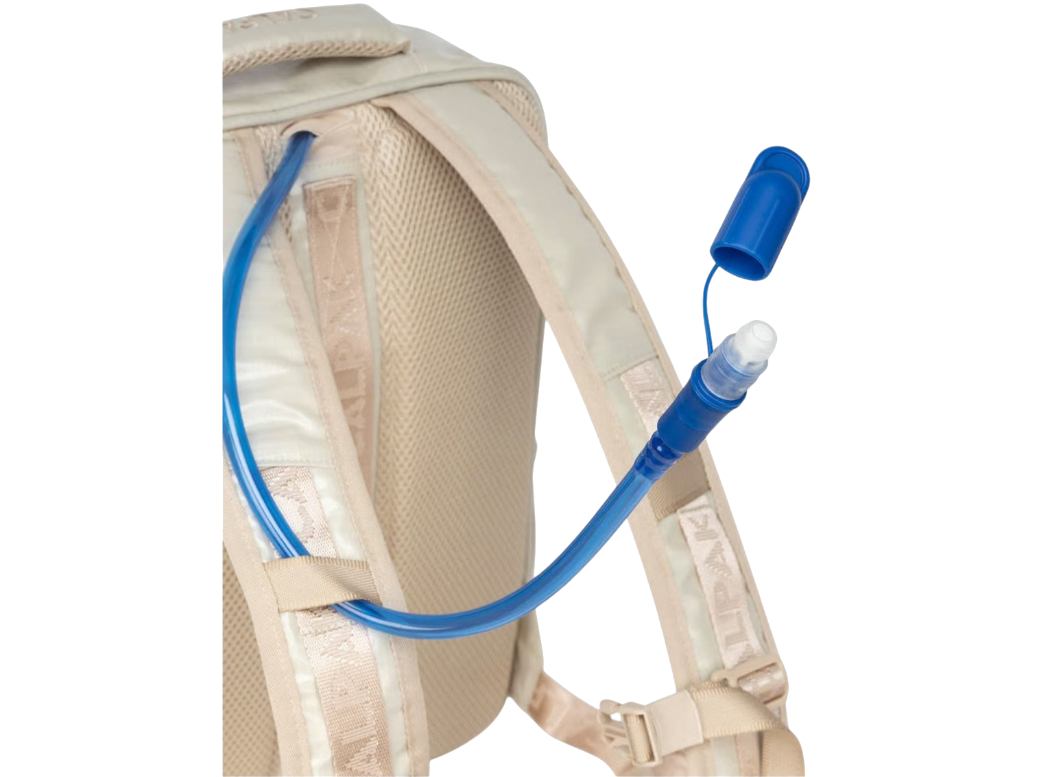 Terra Laptop Backpack