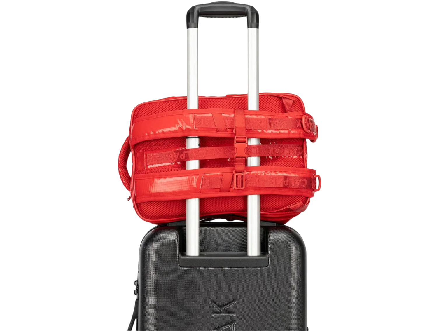 Terra Laptop Backpack