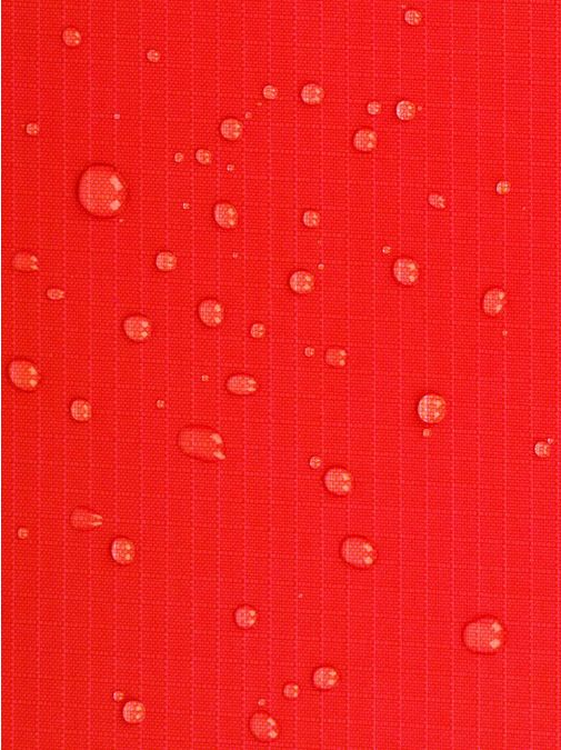 Calpak Terra 35L Water Resistant Zippered Tote Bag in Blossom