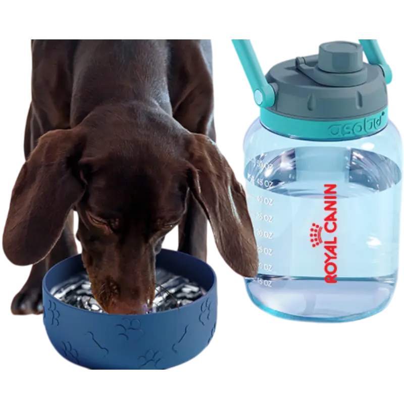 ASOBU The Barkley - TWB21 - Pet Bottles - SwagWear