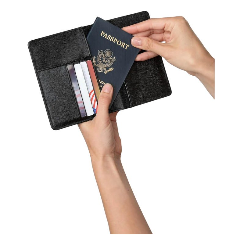 Brookstone RFID Passport Wallet