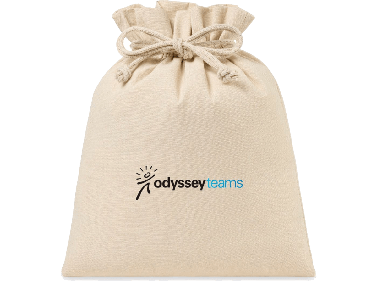 Eco-conscious Canvas Drawstring Gift Bag - Large - gift bag - SwagWear