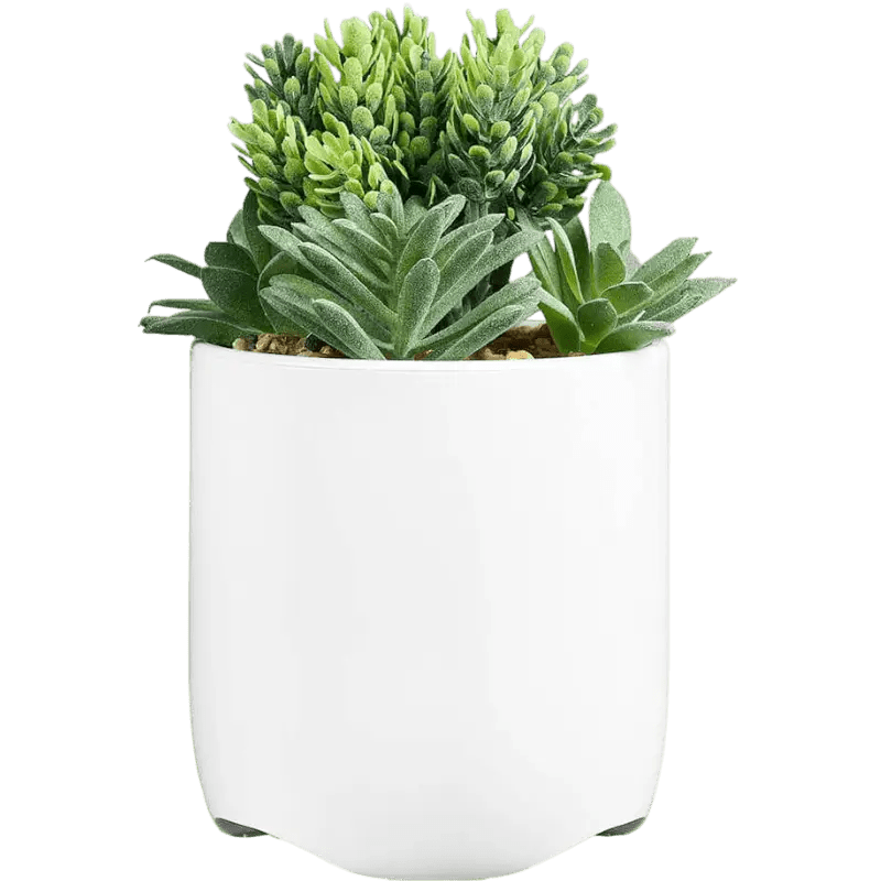 iHome Faux Succulent with USB Charging Station - Charging Stations - SwagWear