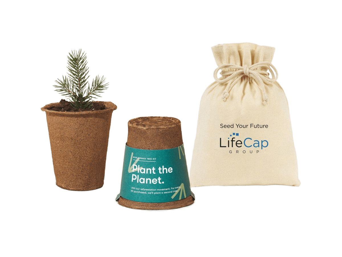 Modern Sprout® One For One Tree Kits - Plant Grow Kits - SwagWear