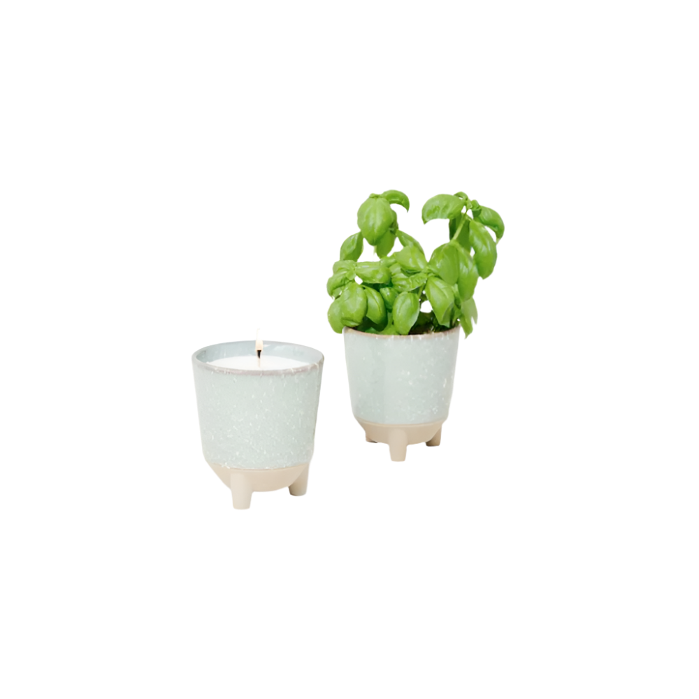 Modern Sprout® Glow & Grow Live Well Gift Set - Blue Green: Herb Garden w/ Basil Seeds - Plant Grow Kits