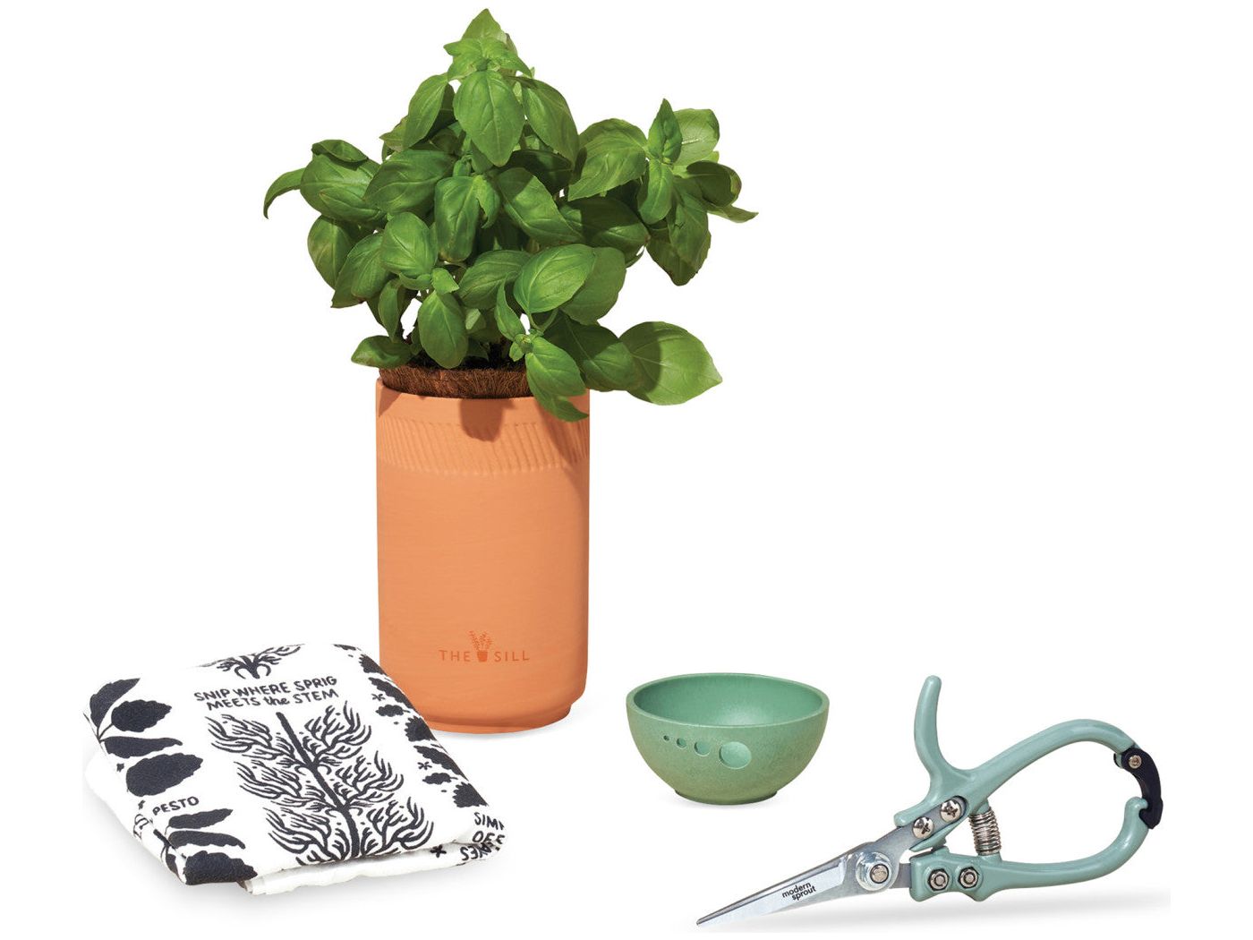 Modern Sprout® Growing Gourmet Gift Set - Plant Grow Kits