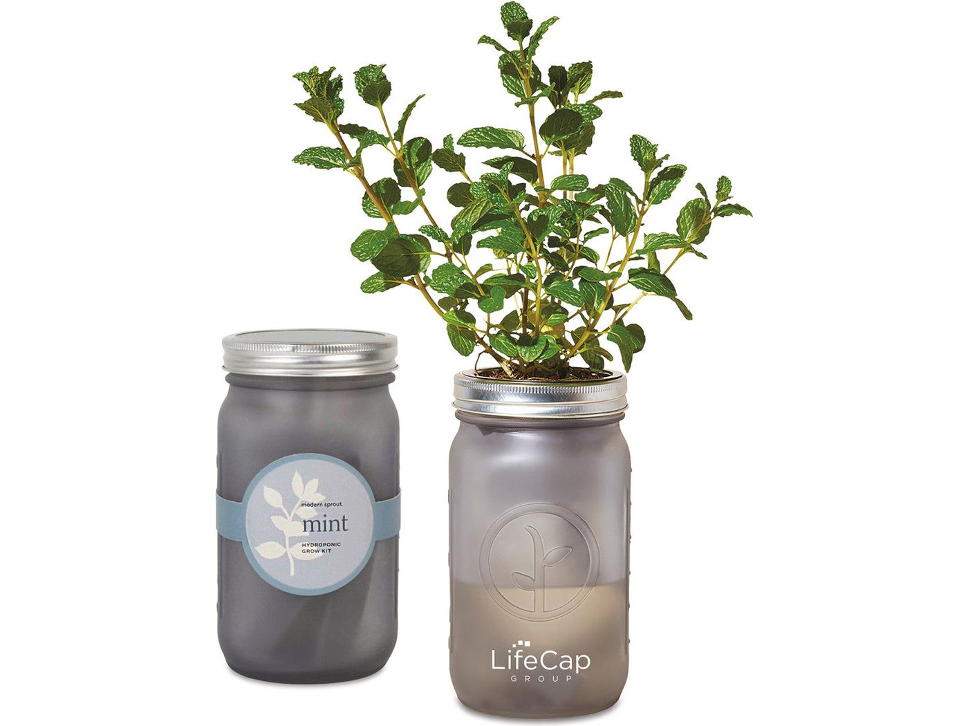Modern Sprout® Indoor Herb Garden Kit - Ice Blue - Plant Grow Kits