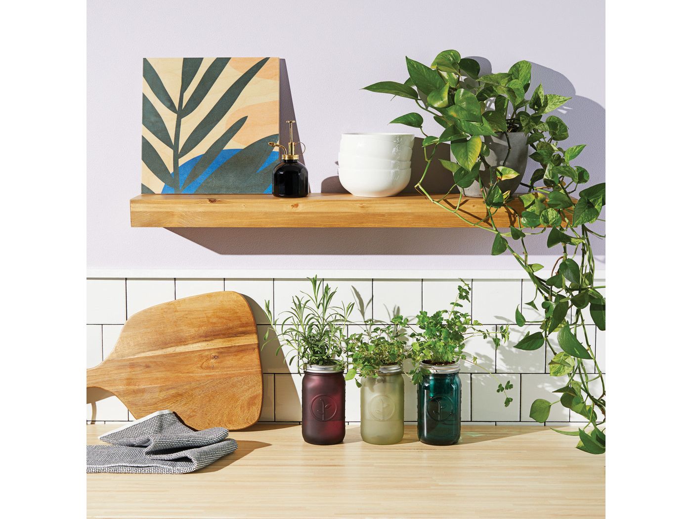 Modern Sprout® Indoor Herb Garden Kit - Plant Grow Kits