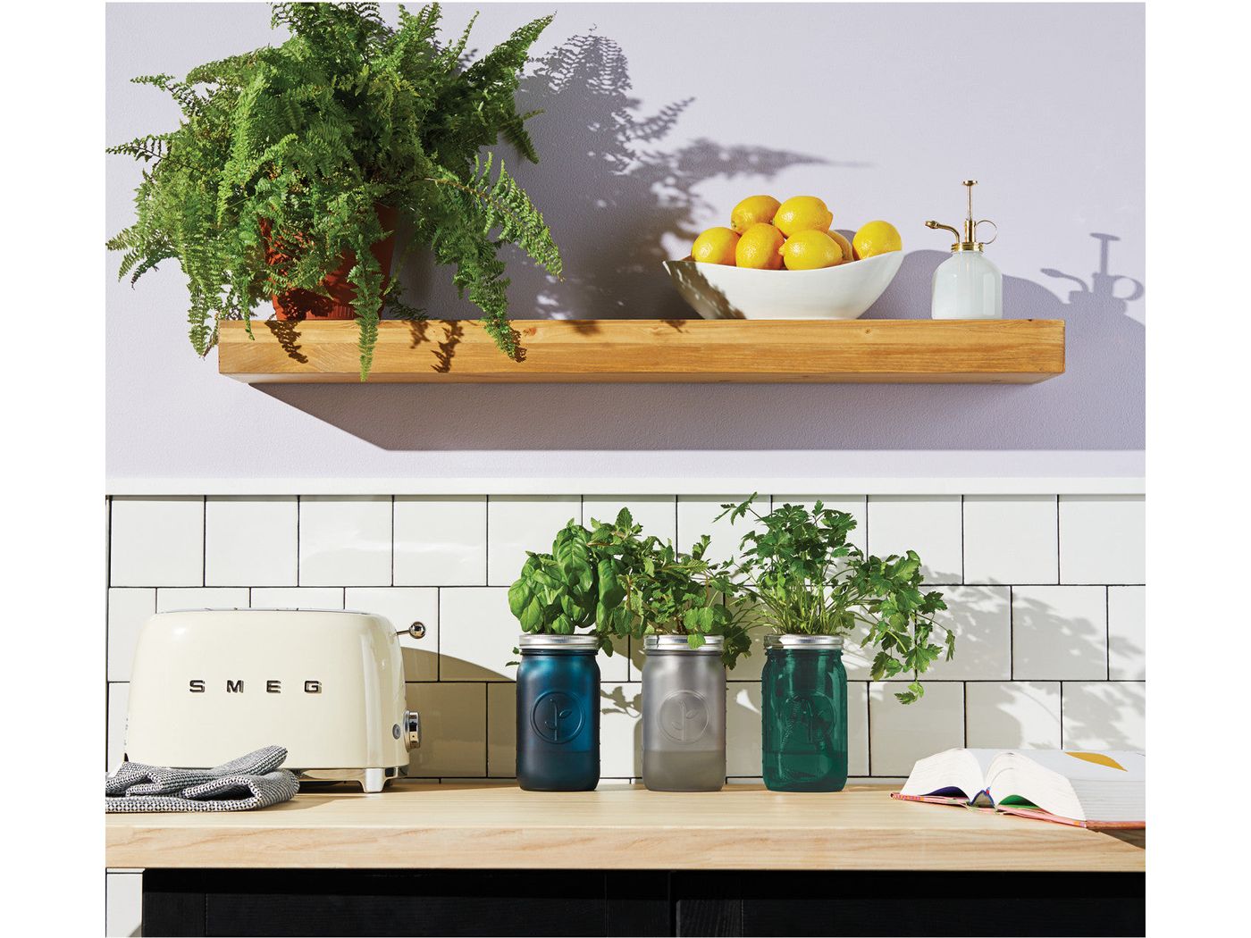 Modern Sprout® Indoor Herb Garden Kit - Plant Grow Kits