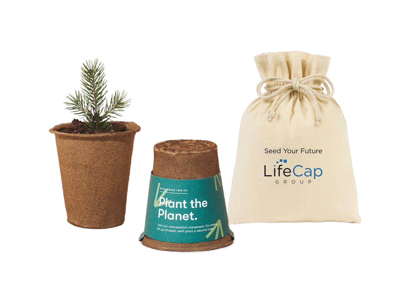 Modern Sprout® One For One Tree Kits - Plant Grow Kits