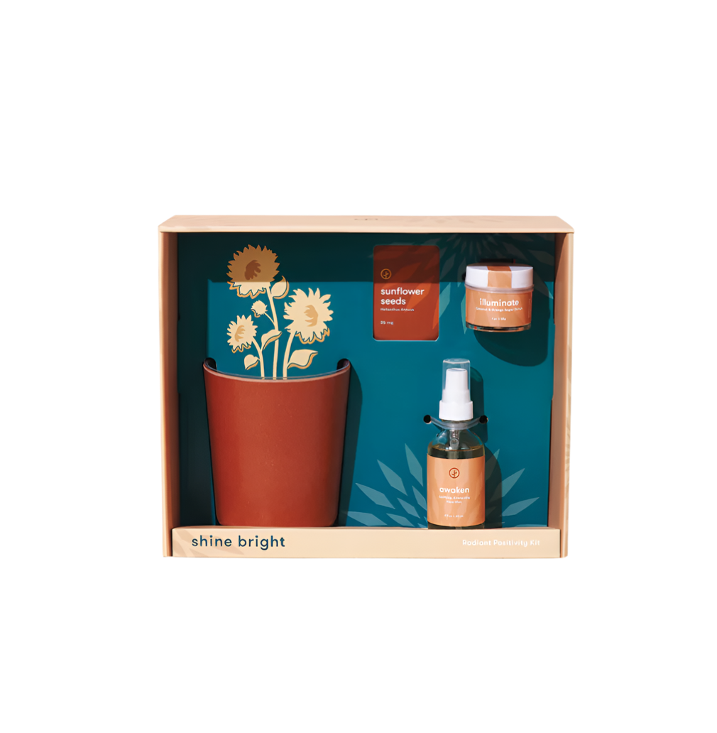 Modern Sprout® Shine Bright Take Care Kit - Sunflower - Plant Grow Kits