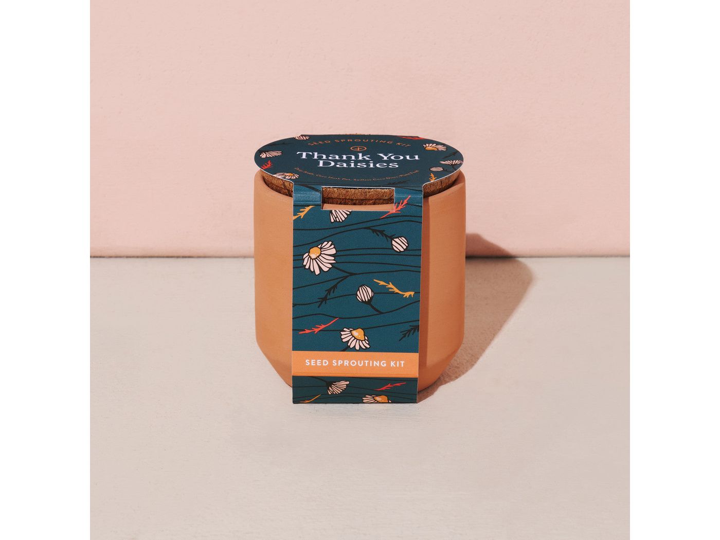 Modern Sprout® Tiny Terracotta Grow Kit Thank You Daisies - Plant Grow Kits