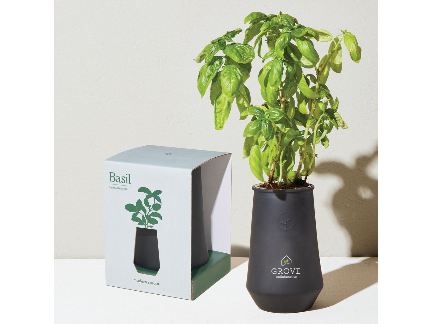 Modern Sprout Tapered Tumbler Grow Kit - Black/Basil - Plant Grow Kits