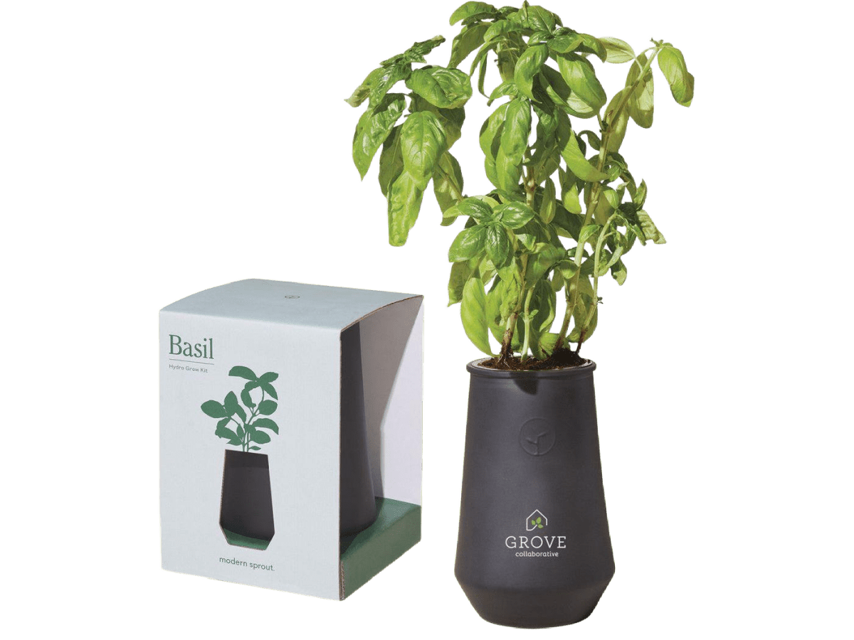 Modern Sprout Tapered Tumbler Grow Kit - Plant Grow Kits - SwagWear