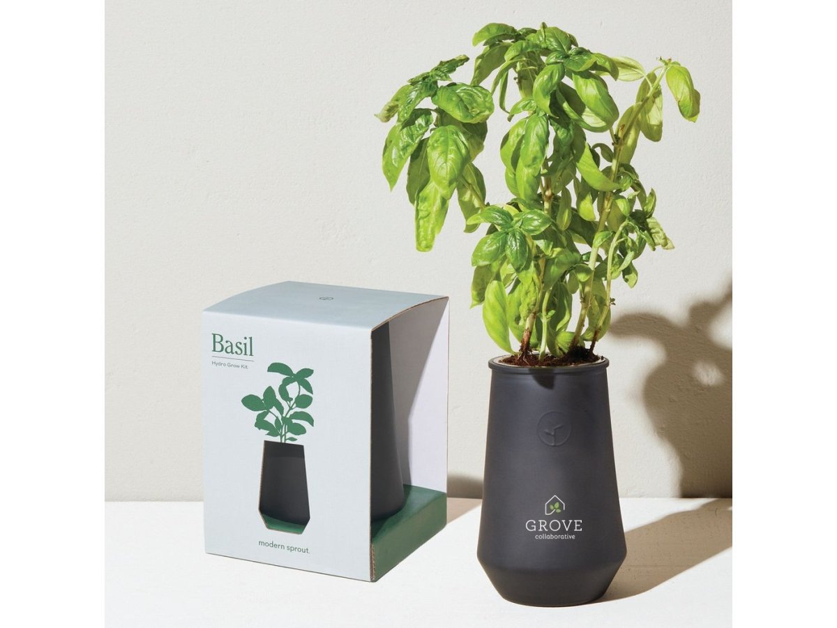 Modern Sprout Tapered Tumbler Grow Kit - Plant Grow Kits - SwagWear