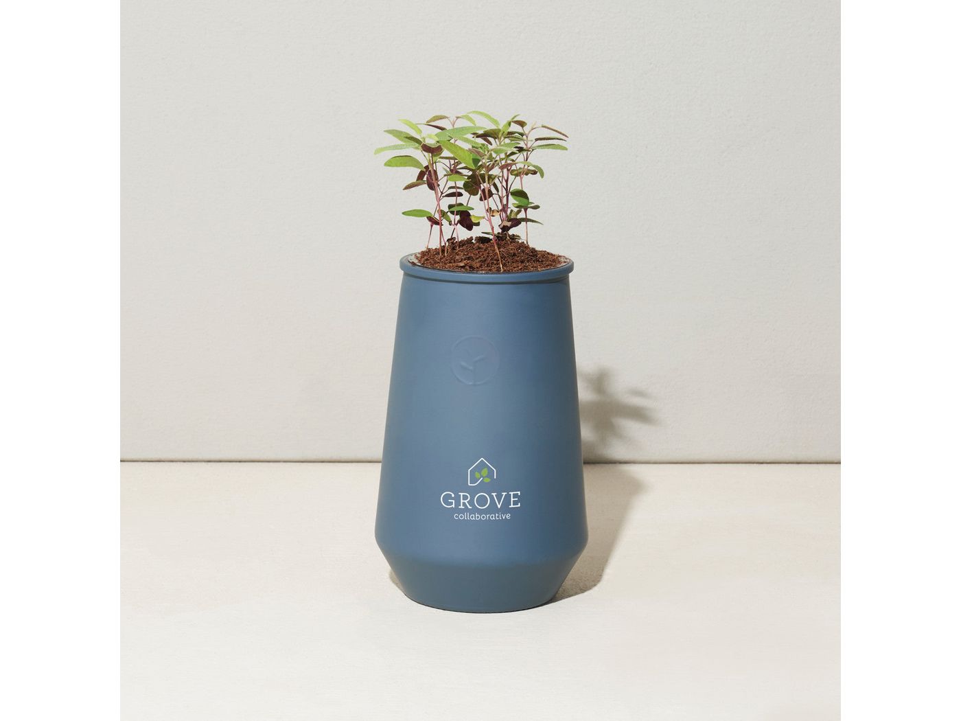 Modern Sprout Tapered Tumbler Grow Kit - Plant Grow Kits