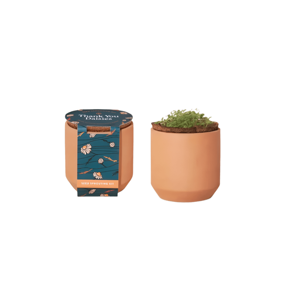 Modern Sprout® Tiny Terracotta Grow Kit Thank You Daisies - Plant Grow Kits - SwagWear